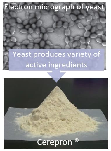 Cerepron® Suppresses melanin synthesis and promotes whitening effect
